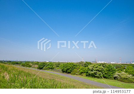 淀川河川公園出口地区　堤防上からの眺め　枚方市 114953177