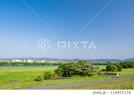 淀川河川公園出口地区　堤防上からの眺め　枚方市 114953178
