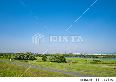 淀川河川公園出口地区　堤防上からの眺め　枚方市 114953180