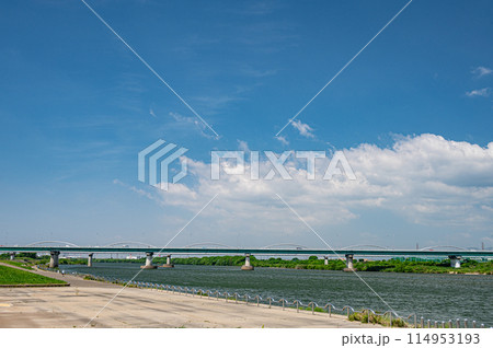 淀川河川公園枚方地区　枚方大橋 114953193