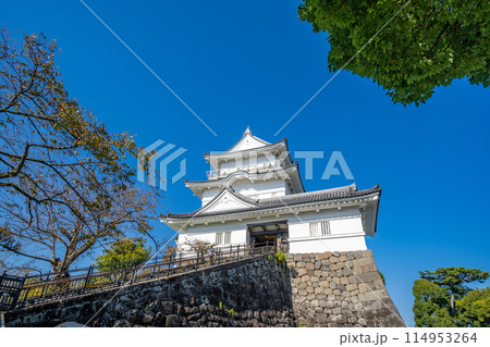 小田原城　天守閣　本丸　本丸広場 114953264