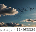 空を飛ぶ鳥の群れ【AI生成画像】 114953329