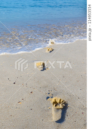 青い海と砂浜に残る足跡 青い海と砂浜に残る足跡 114953554