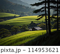 日本の原風景【AI生成画像】 114953621