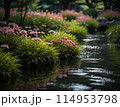 涼しげな夏の小川【AI生成画像】 114953798