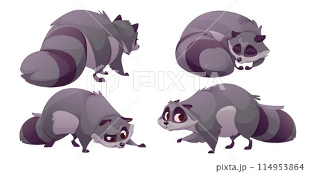 Cute racoon character. Funny raccoon cartoon set 114953864