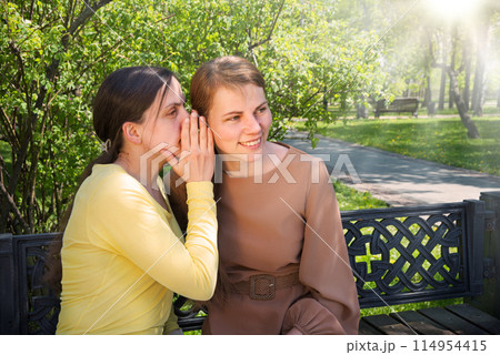 Two girls gossip in the park Two girls gossip in the park 114954415
