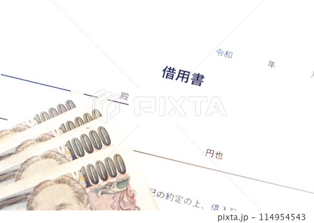 お金を貸し借りする際に借主が貸主に差し入れる「金銭借用書」 114954543