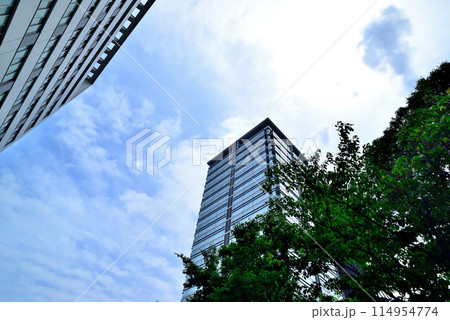 東京　明治神宮前周辺の高層オフィスビルの風景 114954774