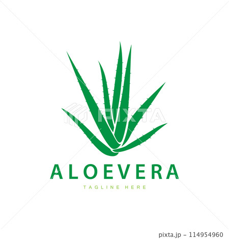 aloe vera logo cosmetic design simple green plant health symbol vector illustration aloe vera logo cosmetic design simple green plant health symbol vector illustration 114954960