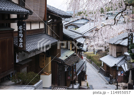 春の東山区 春の東山区 114955057