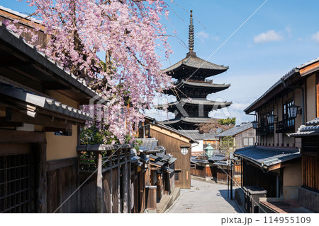 春の東山区 春の東山区 114955109