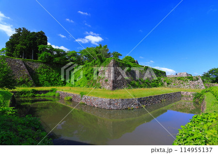 【兵庫県】晴天の丹波篠山城 114955137