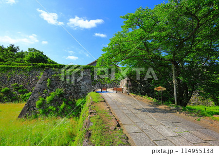 【兵庫県】晴天の丹波篠山城 【兵庫県】晴天の丹波篠山城 114955138