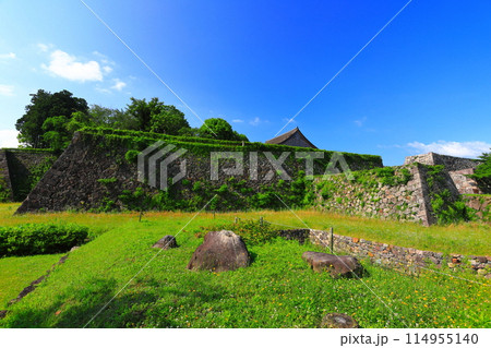 【兵庫県】晴天の丹波篠山城 114955140