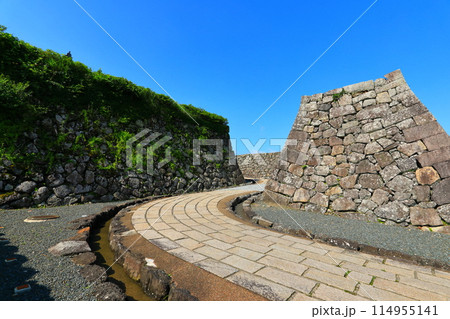 【兵庫県】晴天の丹波篠山城の北廊下 114955141