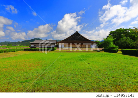 【兵庫県】晴天の丹波篠山城の二の丸御殿大書院 【兵庫県】晴天の丹波篠山城の二の丸御殿大書院 114955143