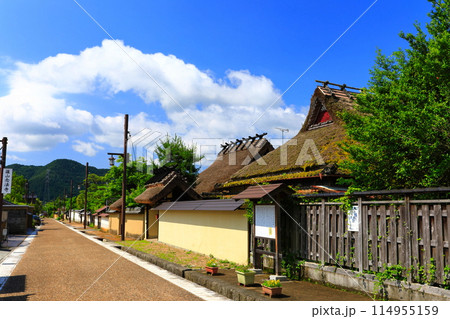 【兵庫県】快晴の御徒士町武家屋敷群の町並み(丹波篠山城下町) 【兵庫県】快晴の御徒士町武家屋敷群の町並み(丹波篠山城下町) 114955159