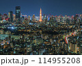 Tokyo skyline at night 114955208