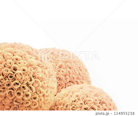 Round balls of red roses 114955238