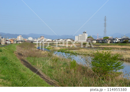 春の浅川はこんな感じ 八王子市 春の浅川はこんな感じ 八王子市 114955380