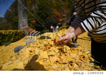 長福寺 114955534