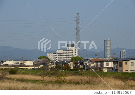 春の浅川はこんな感じ 八王子市 春の浅川はこんな感じ 八王子市 114955567