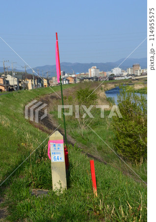 春の浅川はこんな感じ 八王子市 春の浅川はこんな感じ 八王子市 114955575