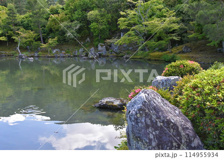 天龍寺　曹源地庭園 114955934