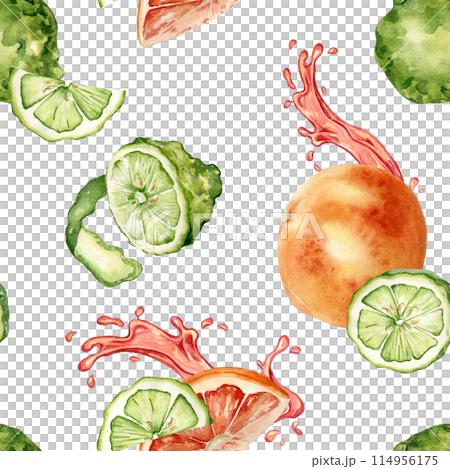 Citrus ripe fruits with juicy splash on watercolor seamless pattern isolated on white. Hand drawn bright summer plants bergamot and grapefruit in botanical sketch style for textile, package products Citrus ripe fruits with juicy splash on watercolor seamless pattern isolated on white. Hand drawn bright summer plants bergamot and grapefruit in botanical sketch style for textile, package products 114956175