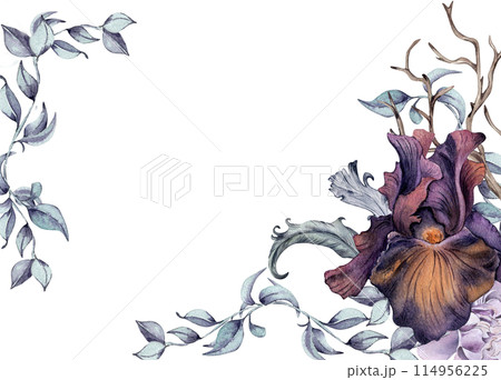 Gothic floral border hand drawn. Black iris flowers and branch watercolor illustration isolated on white. Botanical decoration with snag and feathers for dark party. Element for invitation, printing 114956225