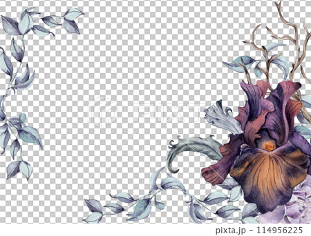 Gothic floral border hand drawn. Black iris flowers and branch watercolor illustration isolated on white. Botanical decoration with snag and feathers for dark party. Element for invitation, printing 114956225