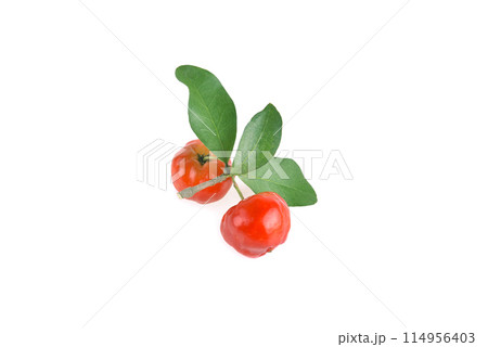 Acerola small cherry fruit with leaf isolated on white background. 114956403