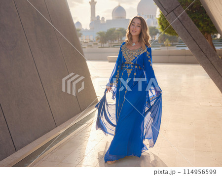Travel to the United Arab Emirates, Abu Dhabi 114956599