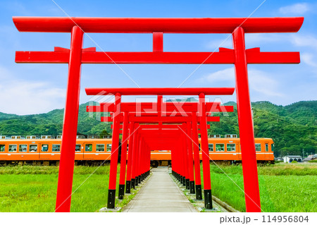 島根県 一畑電車 鳥居が並ぶ参道を通る電車 島根県 一畑電車 鳥居が並ぶ参道を通る電車 114956804