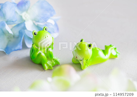 アジサイとカエル 114957209
