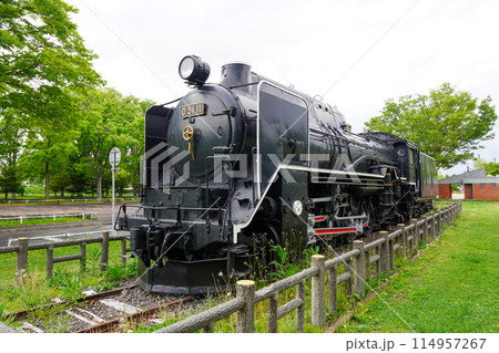 札幌市の農試公園のデゴイチ（D51 11） 114957267