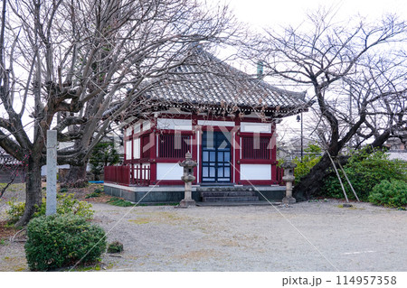本願寺の西国拠点寺院として誕生した亀山本徳寺(兵庫県姫路市) 本願寺の西国拠点寺院として誕生した亀山本徳寺(兵庫県姫路市) 114957358