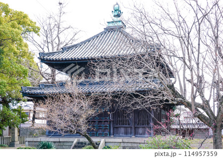 本願寺の西国拠点寺院として誕生した亀山本徳寺（兵庫県姫路市） 114957359