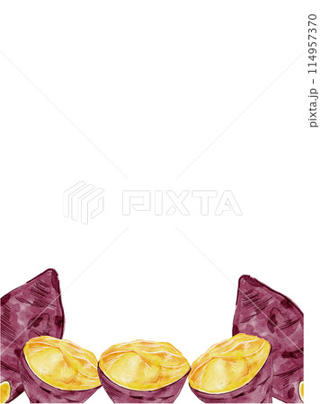 水彩で描いた秋のさつまいものフレームデザイン素材 水彩で描いた秋のさつまいものフレームデザイン素材 114957370