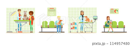 Veterinary Clinic with People Doctor and Pet Owner Vector Set 114957480