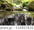 緑に囲まれた清流 114957816