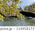 水辺のもみじ 114958173