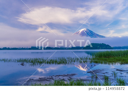 （山梨県）霧が晴れた河口湖大石公園の湖畔から富士山 114958872