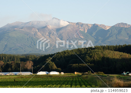 9月の十勝岳の噴煙 114959023