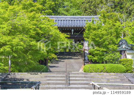 新緑の京都 光明寺(粟生光明寺)総門 新緑の京都 光明寺(粟生光明寺)総門 114959189
