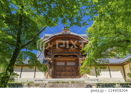 京都　光明寺（粟生光明寺）青もみじの勅使門 114959204