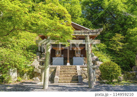 京都　光明寺（粟生光明寺）鎮守社 114959210