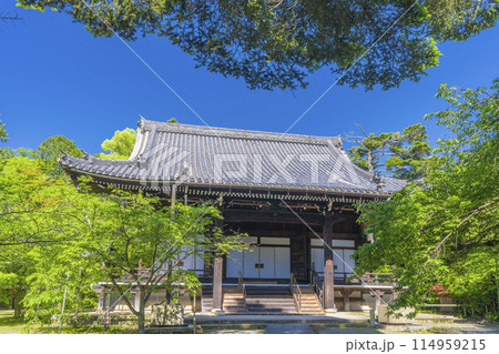 京都 光明寺(粟生光明寺) 阿弥陀堂 京都 光明寺(粟生光明寺) 阿弥陀堂 114959215