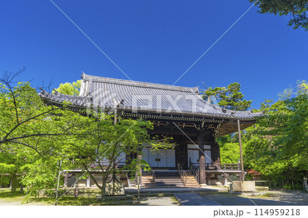 京都　光明寺（粟生光明寺）　阿弥陀堂 114959218